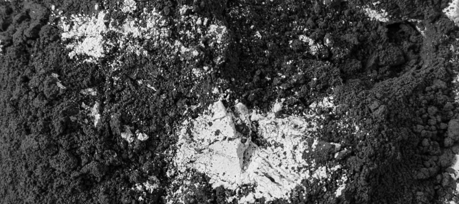 PXL_20220324_075248715